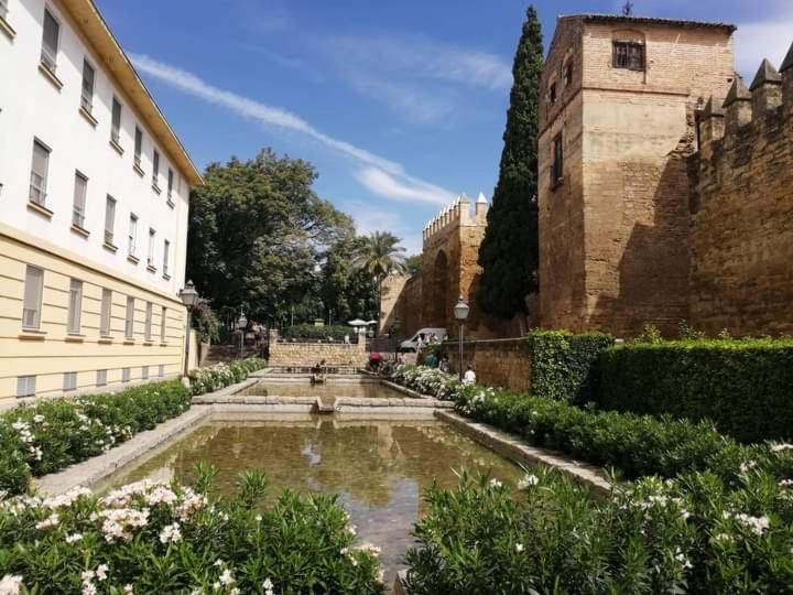 Patio De La Muralla Apartamentos 科爾多瓦 外观 照片