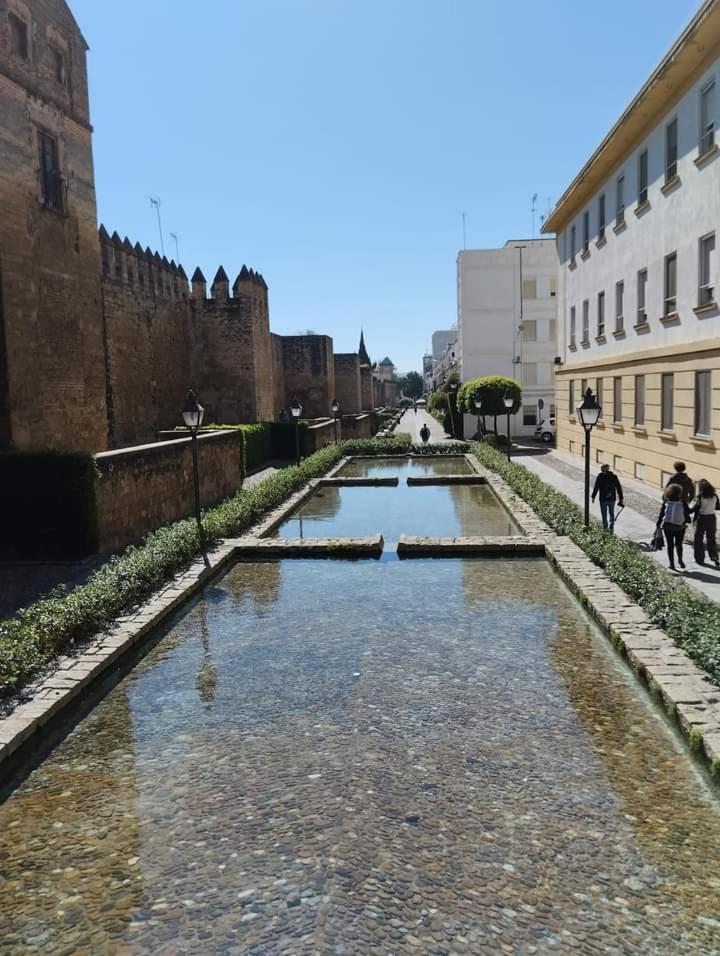 Patio De La Muralla Apartamentos 科爾多瓦 外观 照片